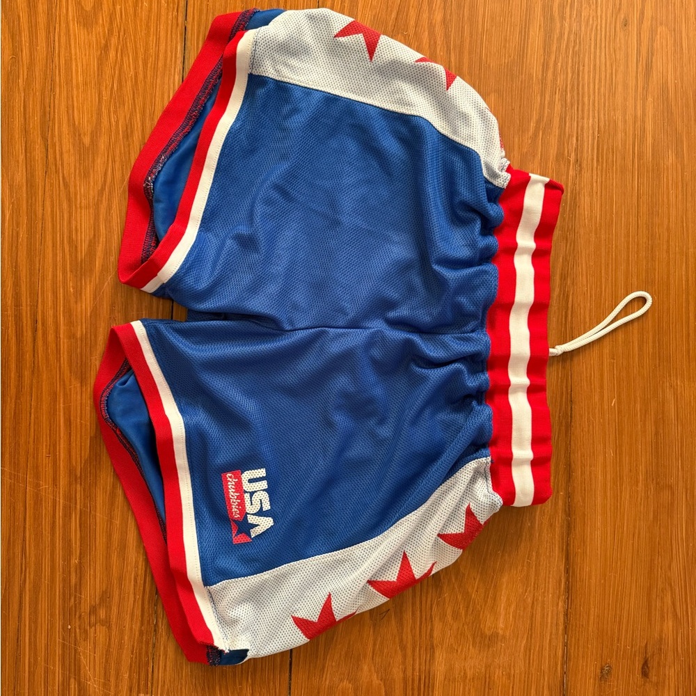 Chubbies USA Flag Swim Trunks - Blue, Red, and White